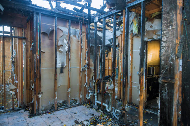 Professional Fire Damage Assessment technician working in Shenandoah, LA